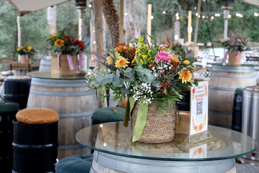 slider-augusta-valles-elmirador-2