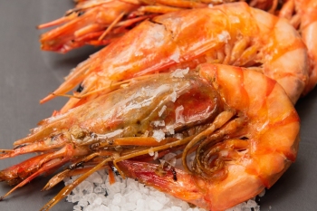 Hotel Augusta Valles